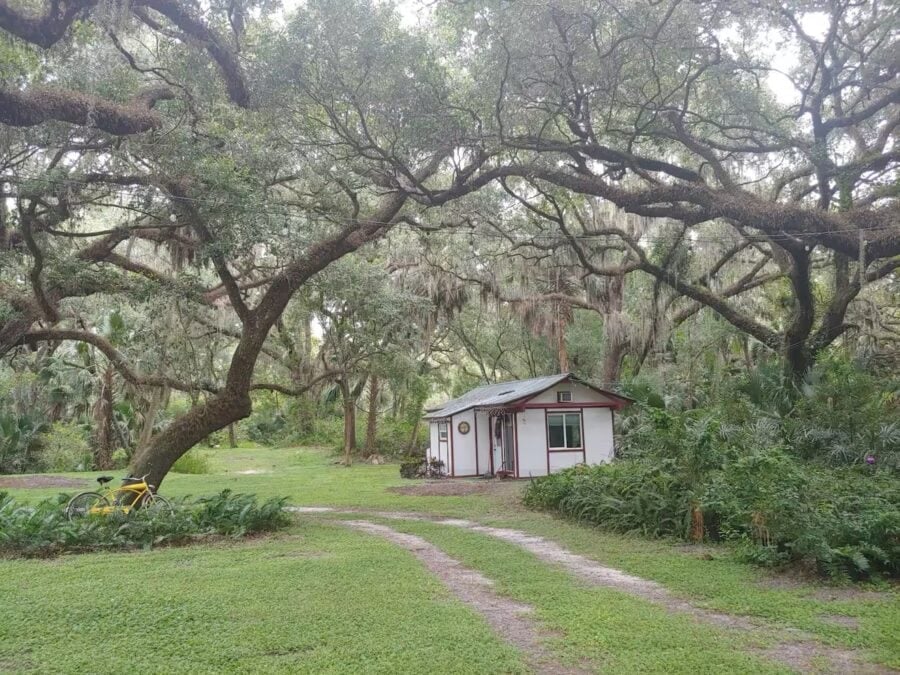 Tiny house nestled under sprawling trees in a peaceful, natural environment.