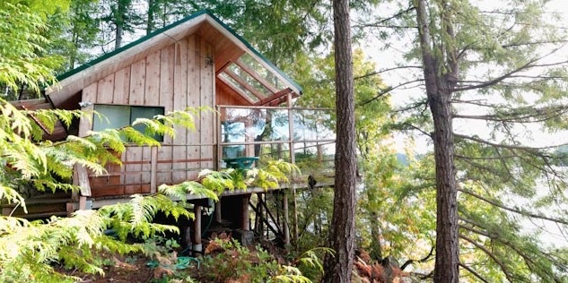 Waters Edge Tiny Cabin 001