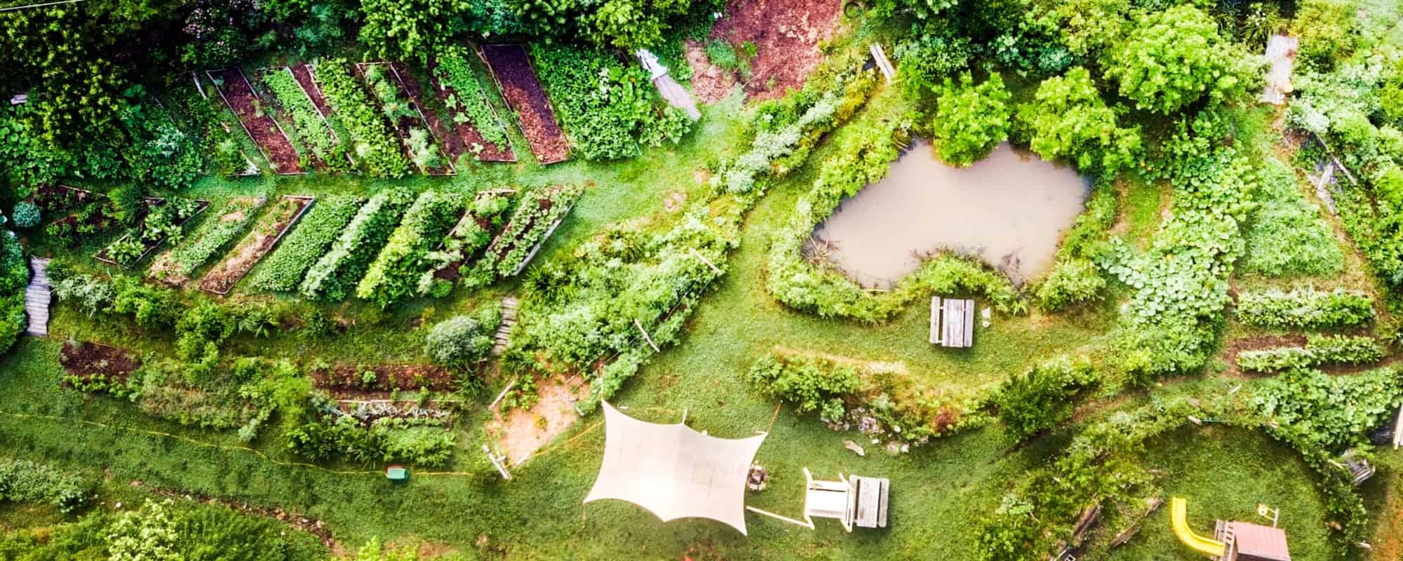 Wild Abundance permaculture garden and campus grounds near Asheville NC