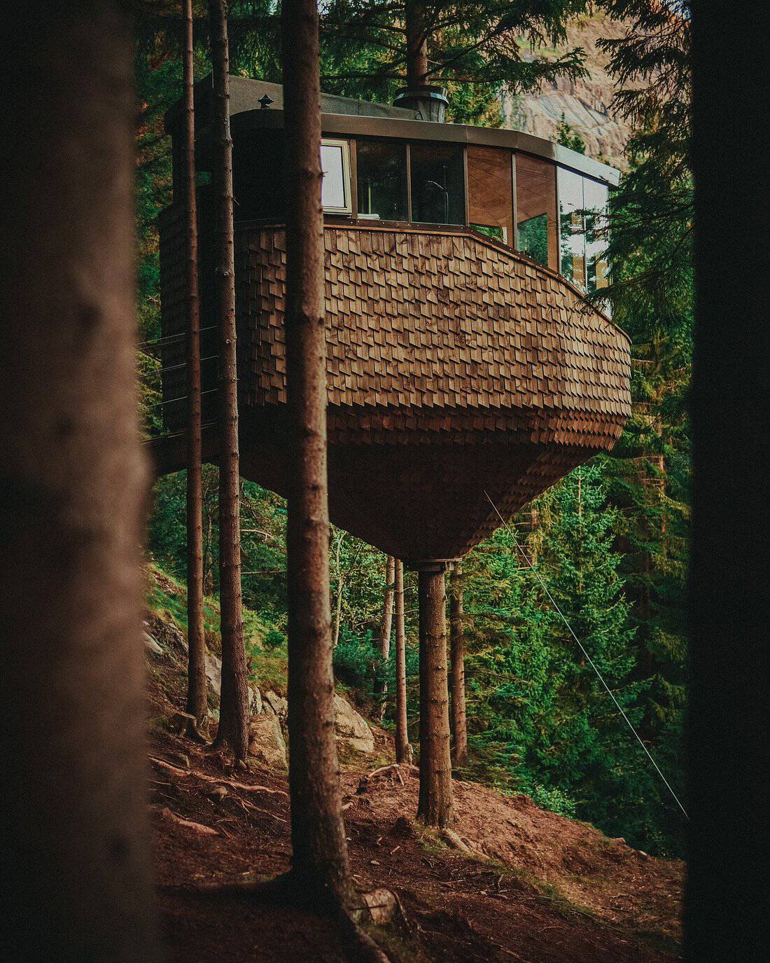 Woodnest Treehouse shingle-clad exterior elevated among pine trees showing the inverted mushroom shape