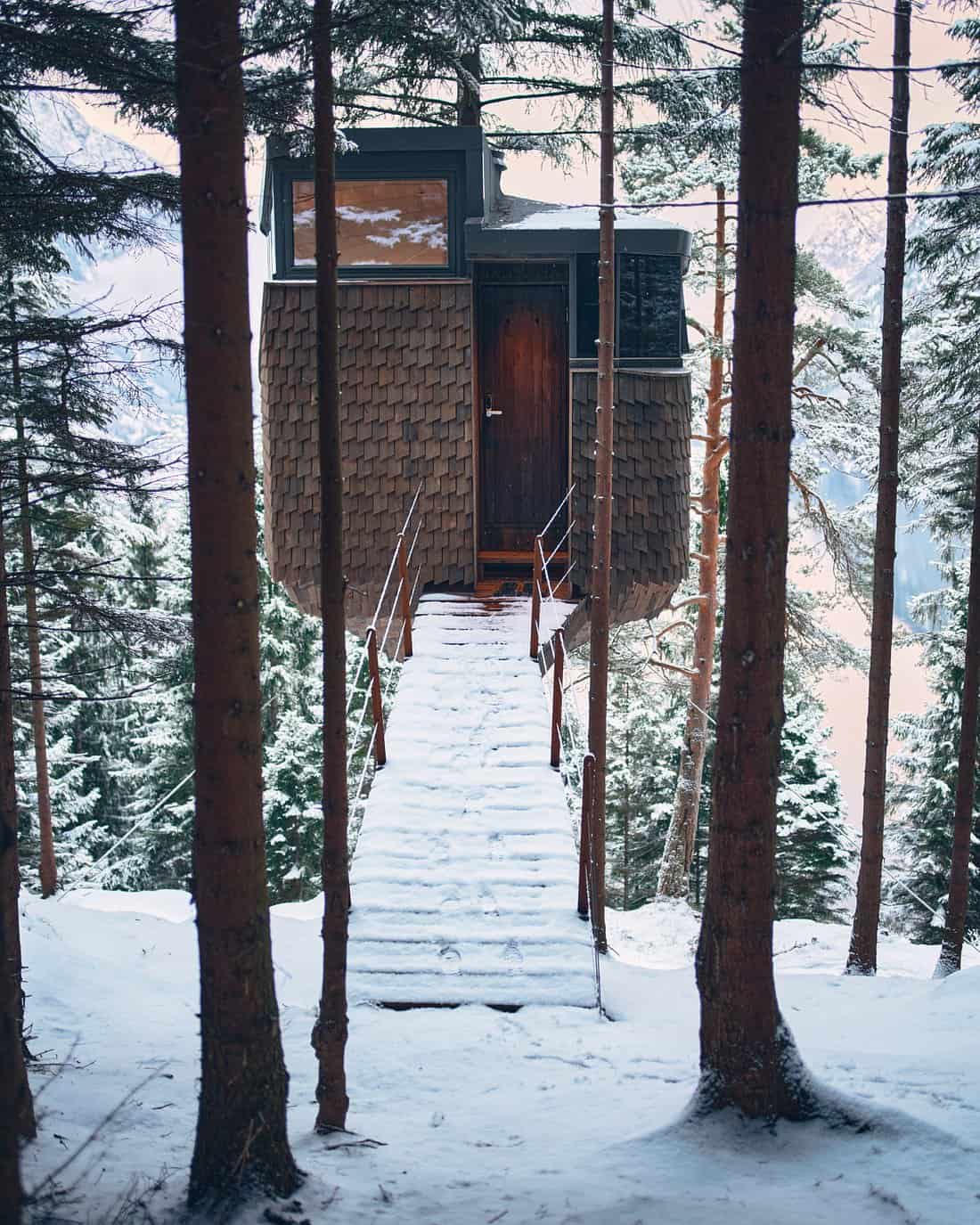 Snow-covered timber walkway leading to a Woodnest Treehouse cabin through pine forest in winter