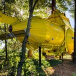 You Can Stay in a Tiny Yellow Submarine 22