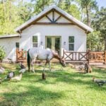 Charming tiny farm cottage with a white exterior, surrounded by chickens and a horse, set in lush gr.