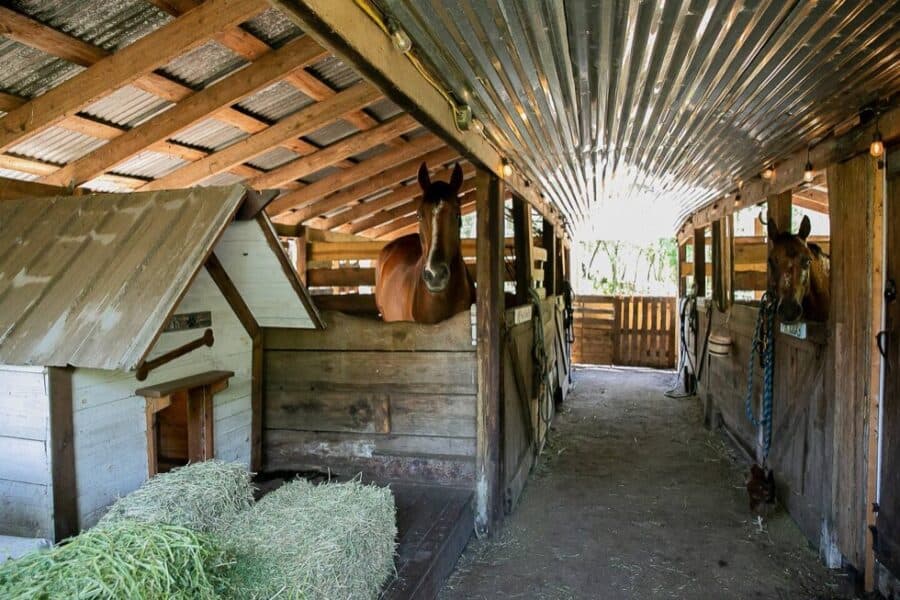 Zephyrhills Farm Cottage 0017