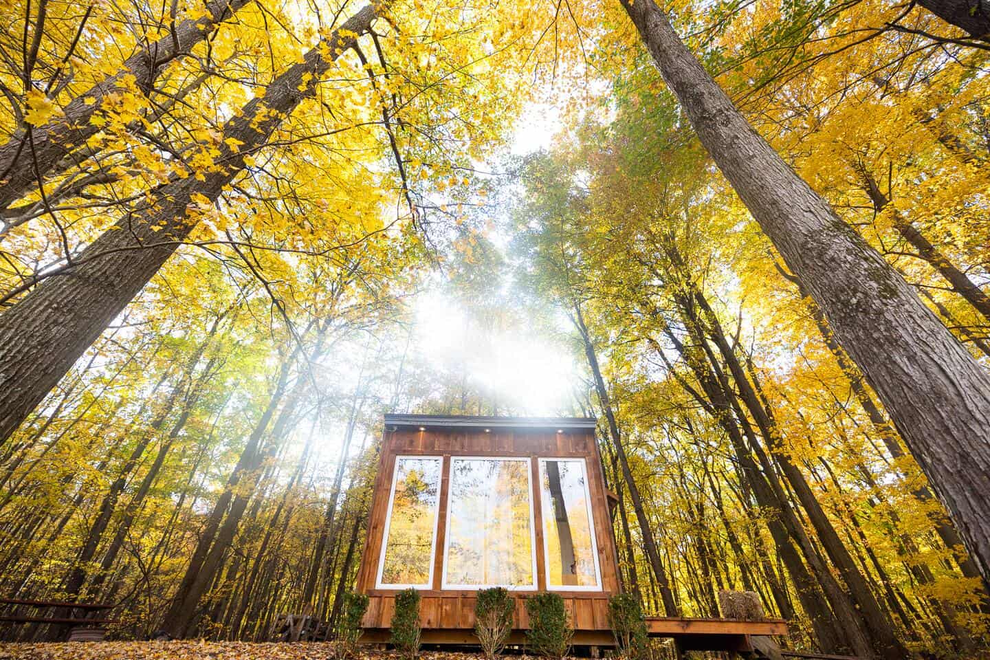 Adler Cabin in autumn woods at Fernwood Hills: small wood cabin with three tall front windows under a gold canopy