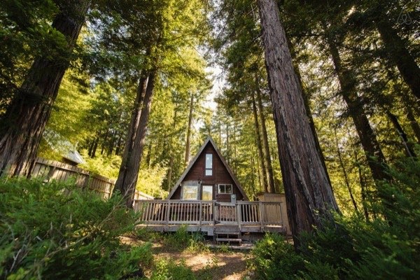 Amazing Tiny A-Frame Cabin in the Redwoods