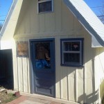 anna-wallace-grandmas-tiny-house-story-01
