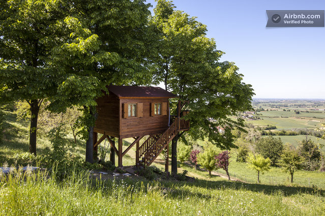 aromantica-treehouse-01