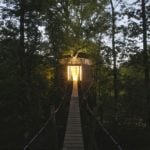 ORIGIN: Treehouse “Dress” For a 100-Year-Old Oak 5
