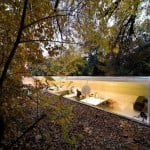 Offce in the forest