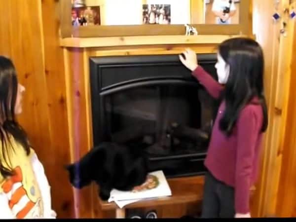 Electric fireplace set into a knotty pine wall in the Baird family tiny cabin