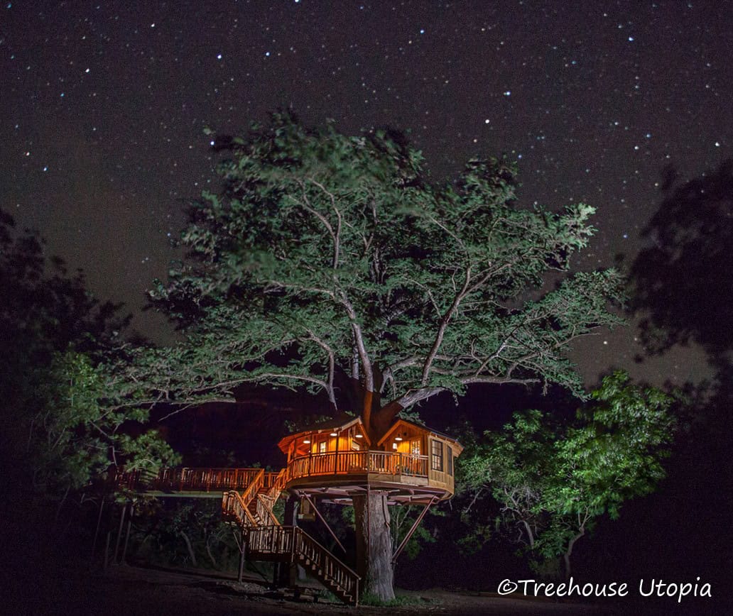 The treehouse lit at night under the branches