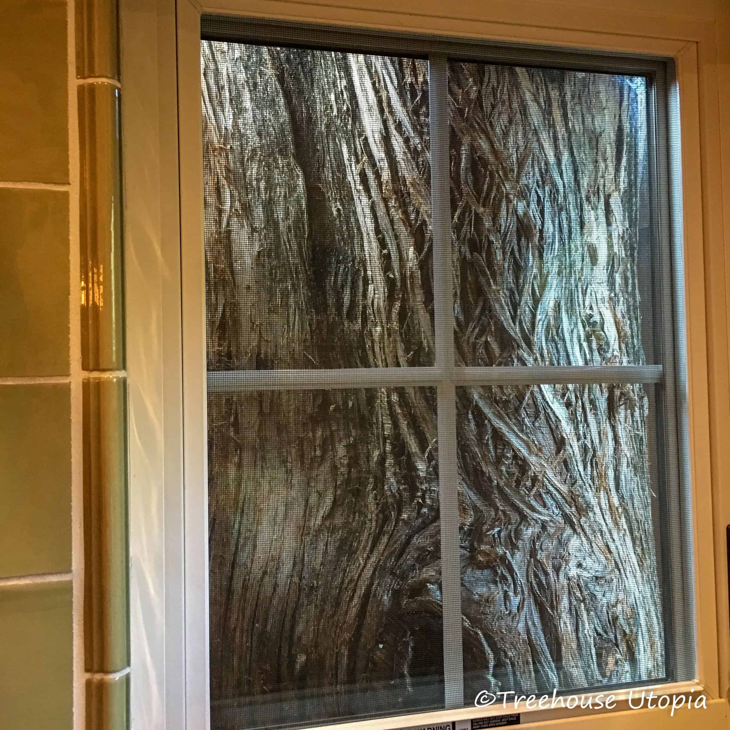 A window in the shower looking onto the tree trunk