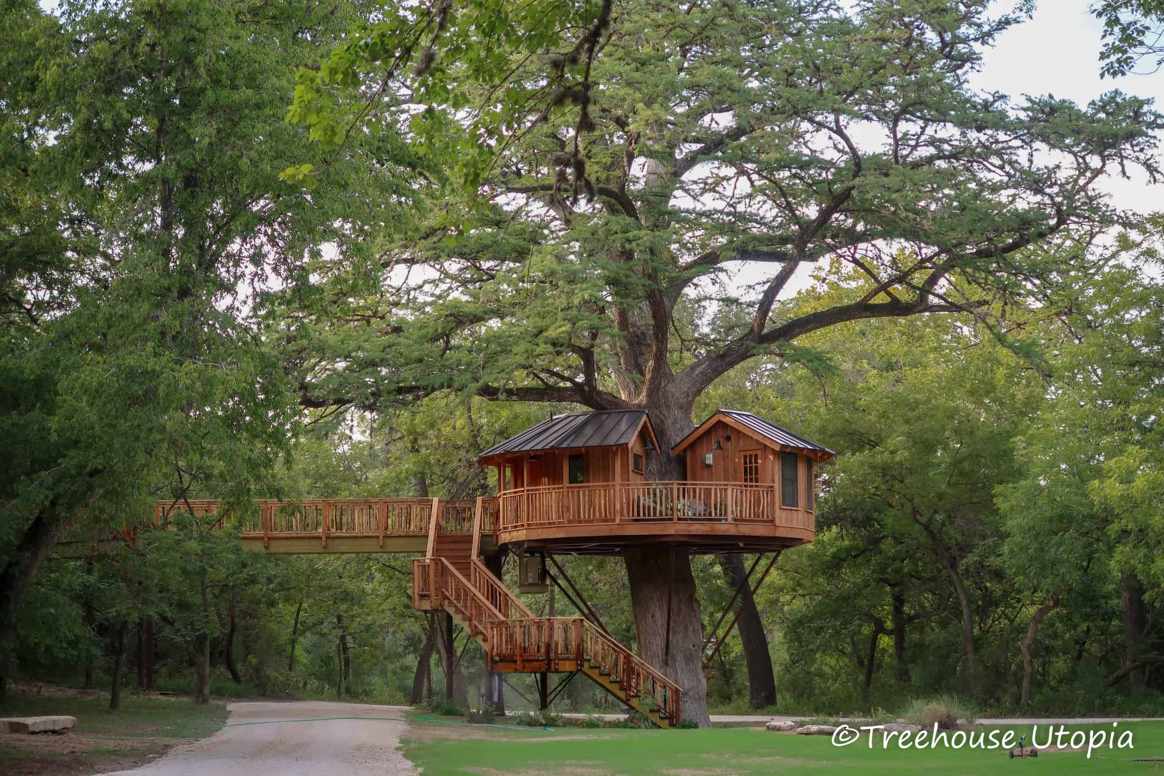 Wider view of the same wood treehouse under a broad canopy