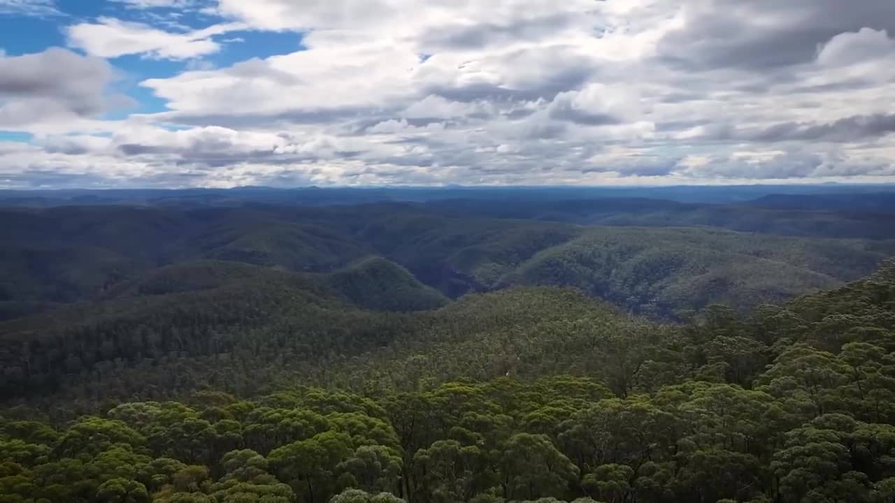 Forested Blue Mountains ridges fading to blue haze under a cloudy sky, seen from near Joanne’s family land