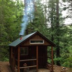 bogdan-tiny-cabin-in-the-woods-1