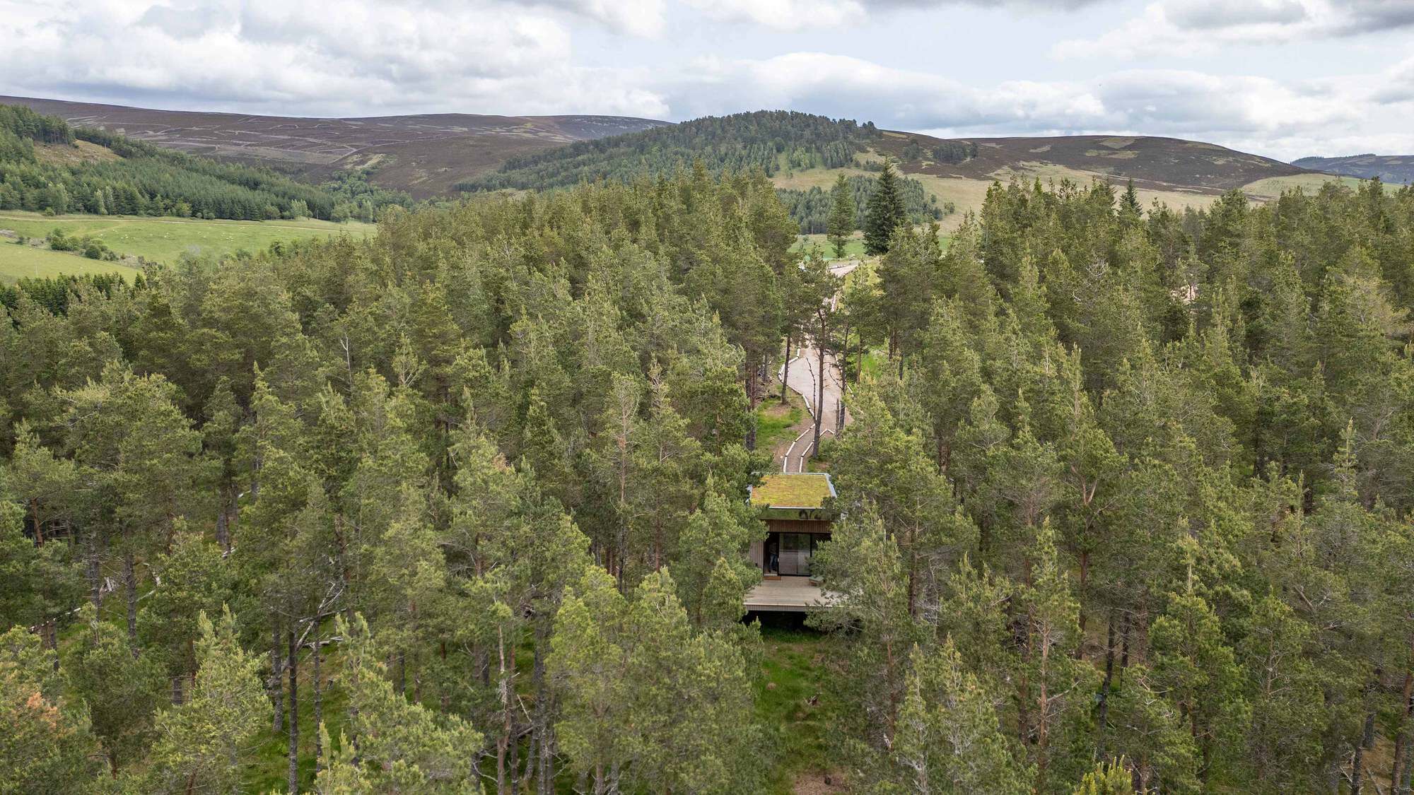Aerial view of a small wood cabin with a green roof tucked in a dense pine forest, rolling Cairngorms hills beyond
