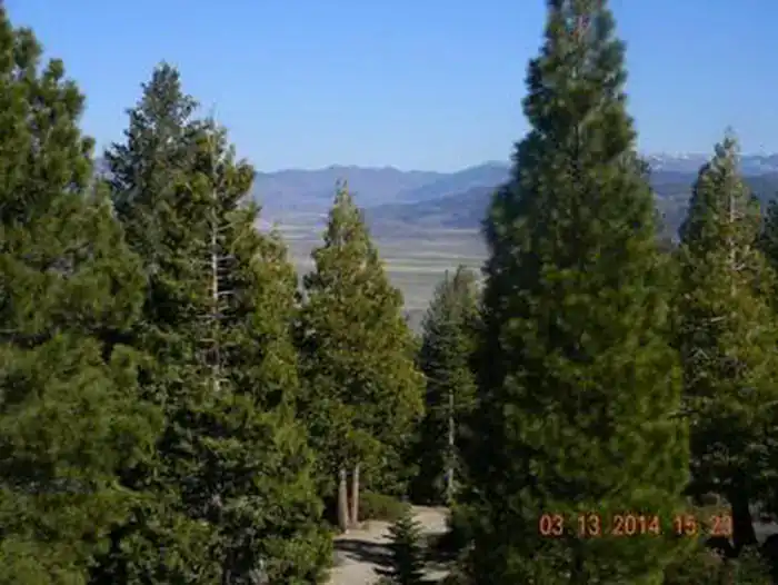 Tall evergreens framing a light valley and hazy blue mountain ridges under a bright sky