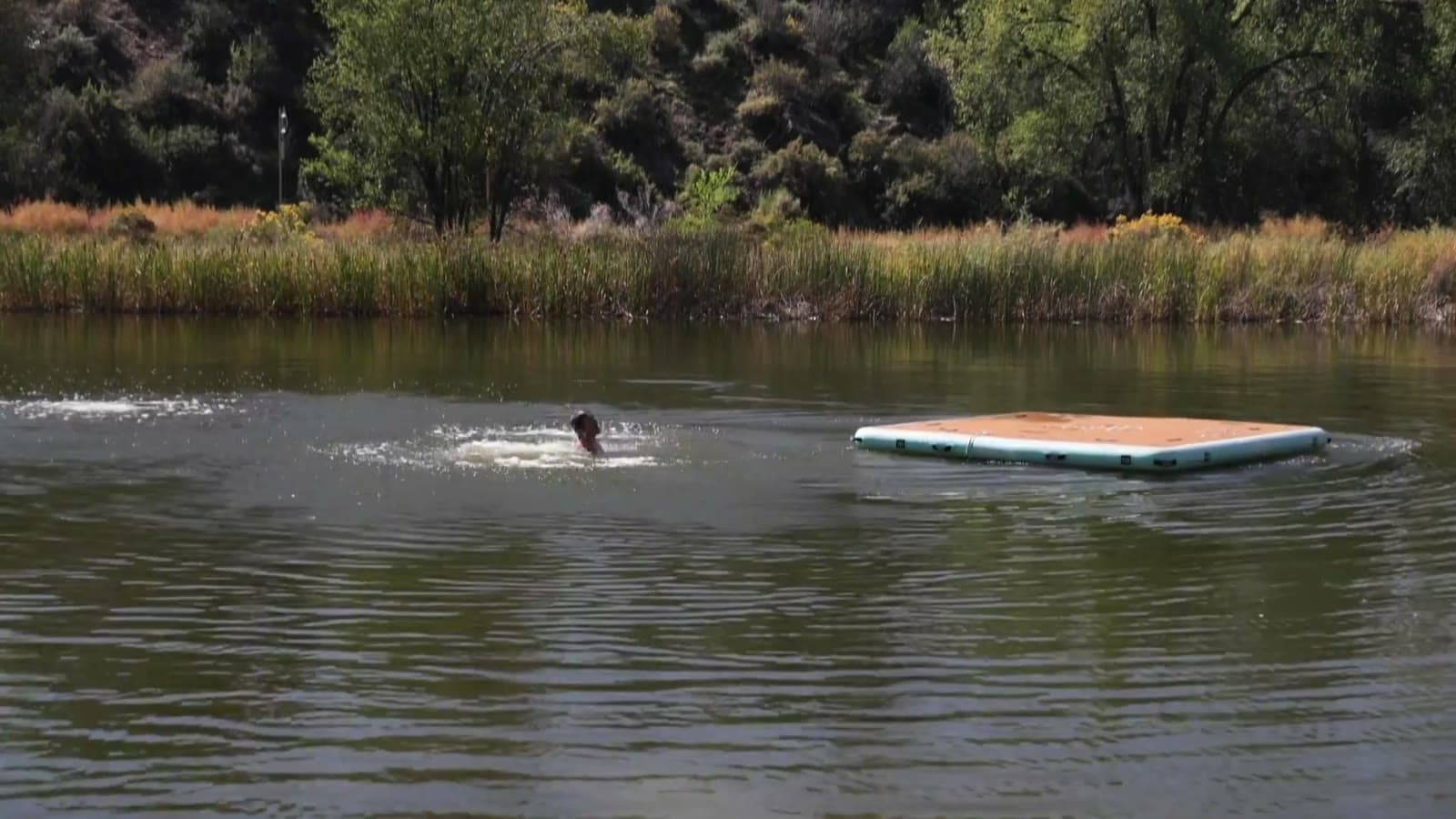 Swimmer near the floating dock on Lake V