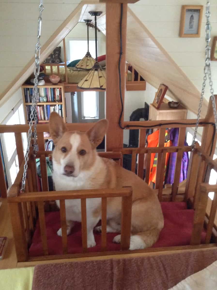 Custom dog elevator cage with a Corgi inside, raised by chains to the tiny house loft
