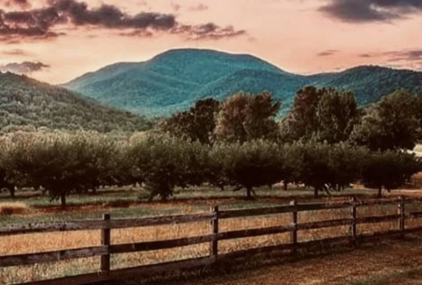 Landscape photograph of a split-rail fence, a field, and forested Blue Ridge foothills at dusk — not a cottage exterior