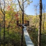 400-square-foot suspended outdoor sky net at The Carpentree with mountain and forest views beyond