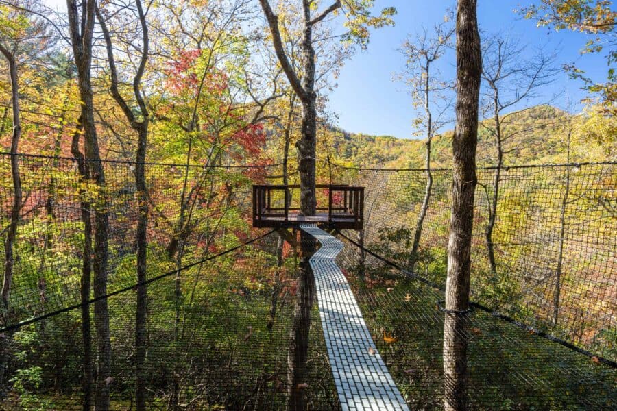 400-square-foot suspended outdoor sky net at The Carpentree with mountain and forest views beyond