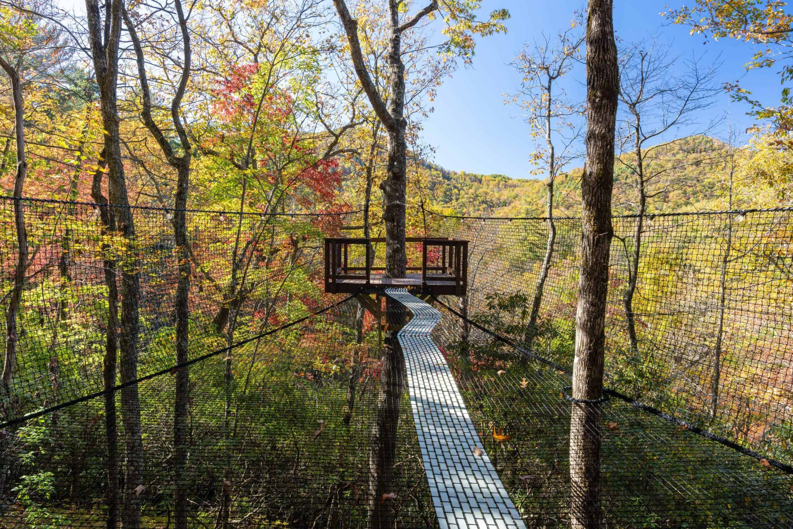400-square-foot suspended outdoor sky net at The Carpentree with mountain and forest views beyond