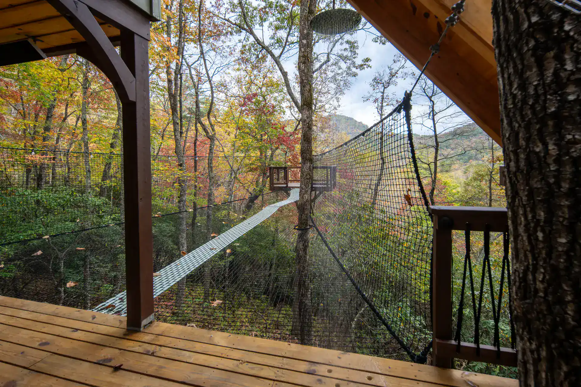 Deck walkway leading out to the suspended sky net at The Carpentree