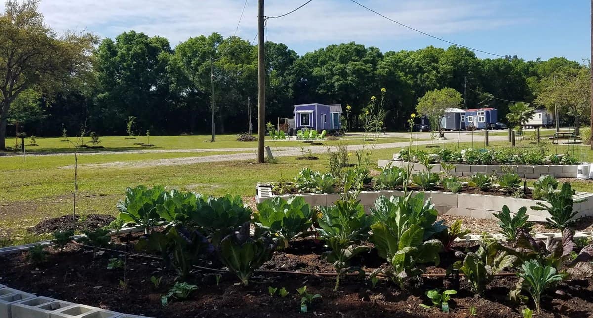 Circle Pond Community Garden