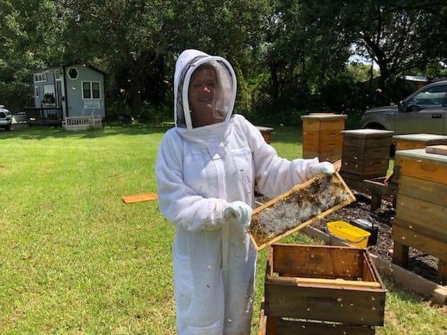 Beekeeping at Circle Pond