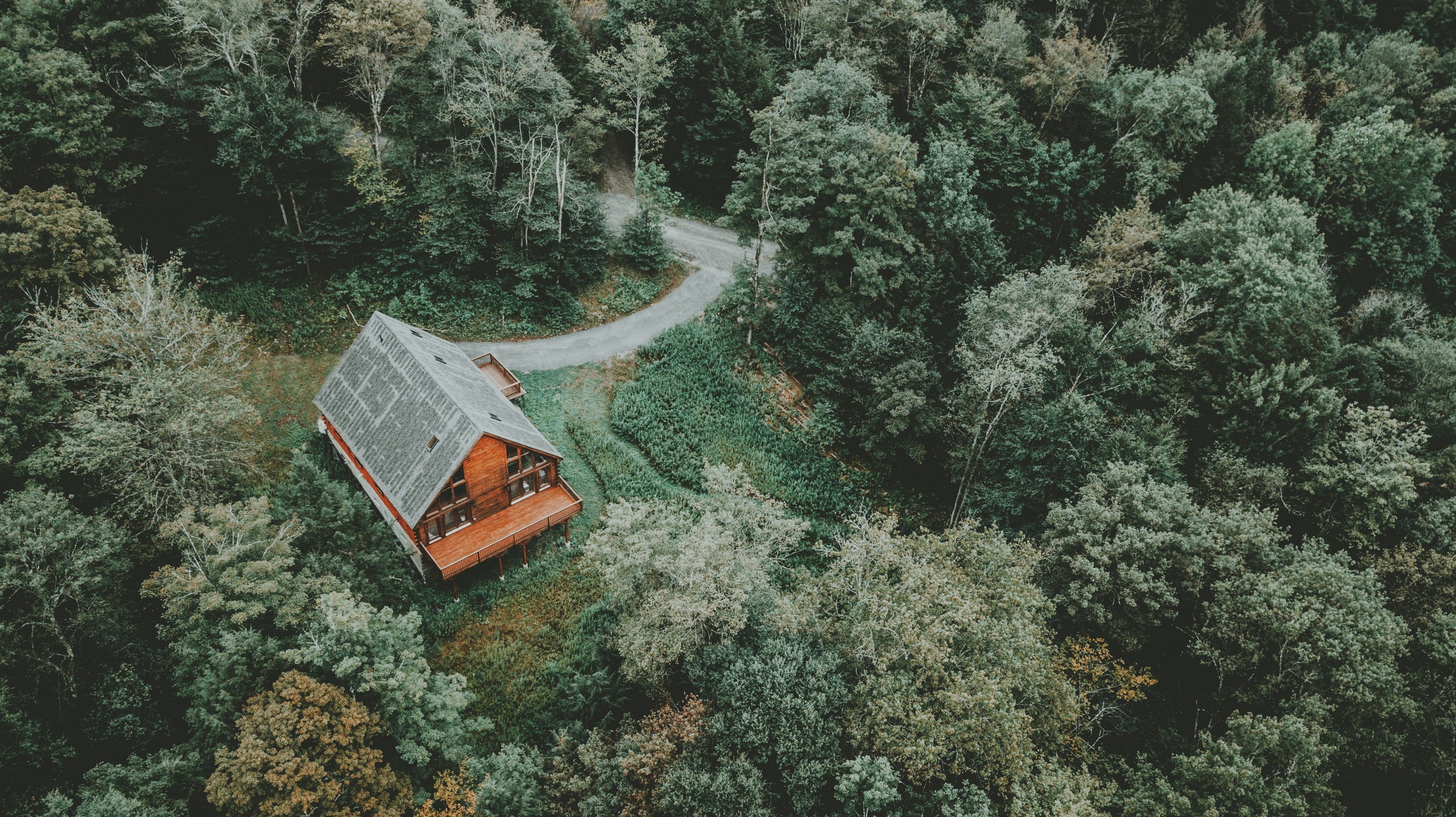 clay-banks-975469-unsplash