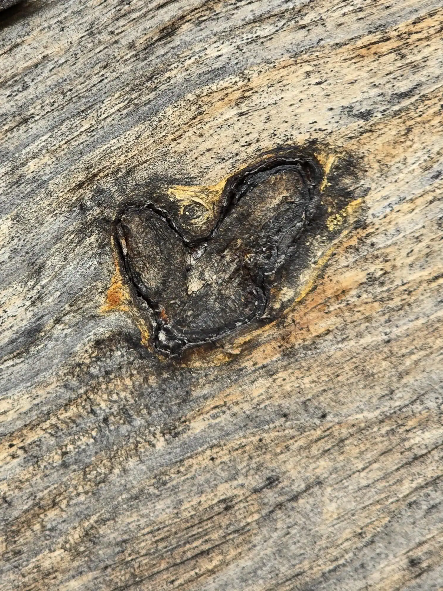 Close-up of a heart-shaped knot in weathered wood, the symbol Cottages at Timber Crest uses for its community
