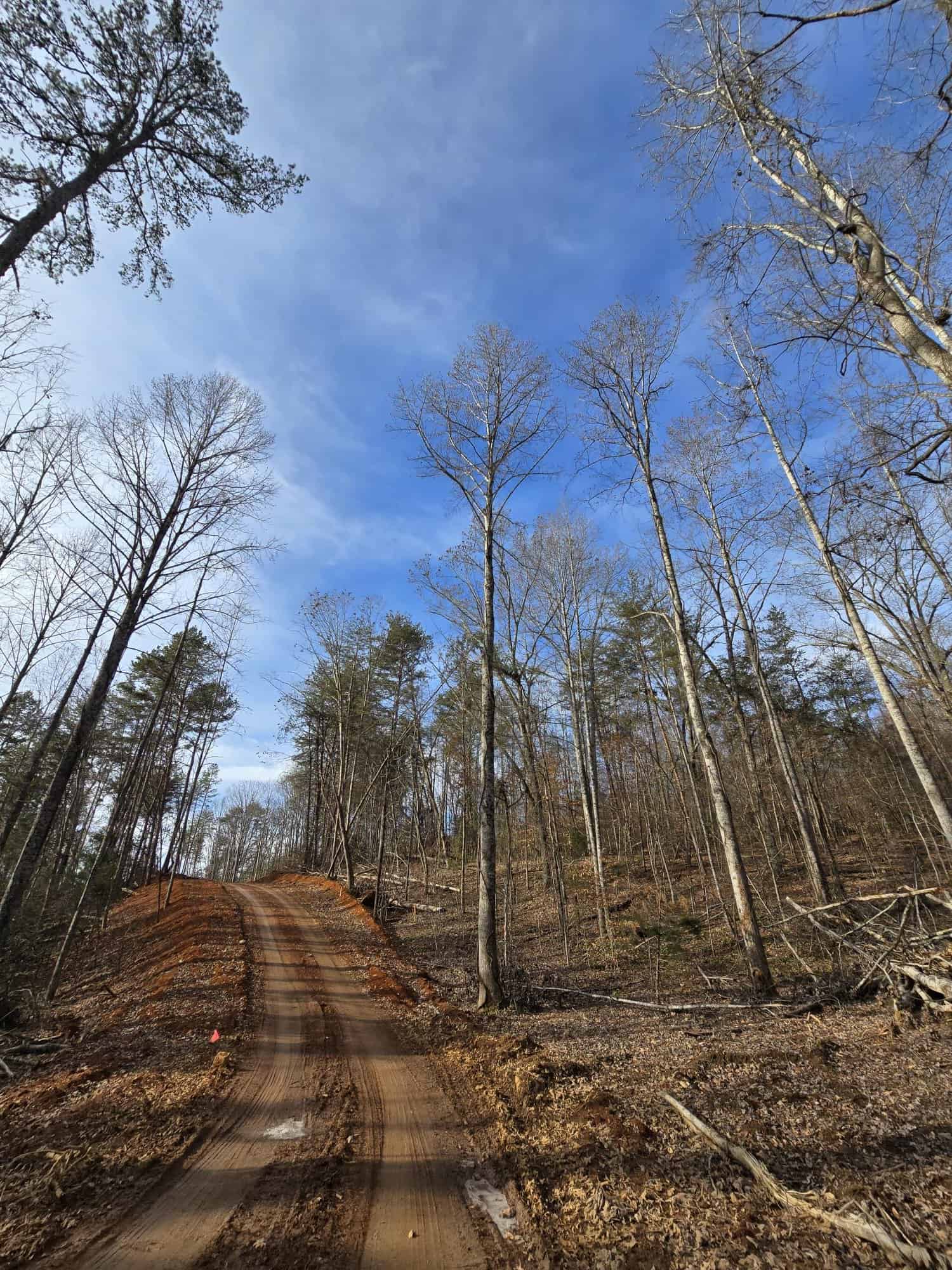 Two-track dirt road climbing a wooded hill, tire tracks in red soil, an orange survey flag on the left, bare trees and a blue sky at Cottages at Timber Crest