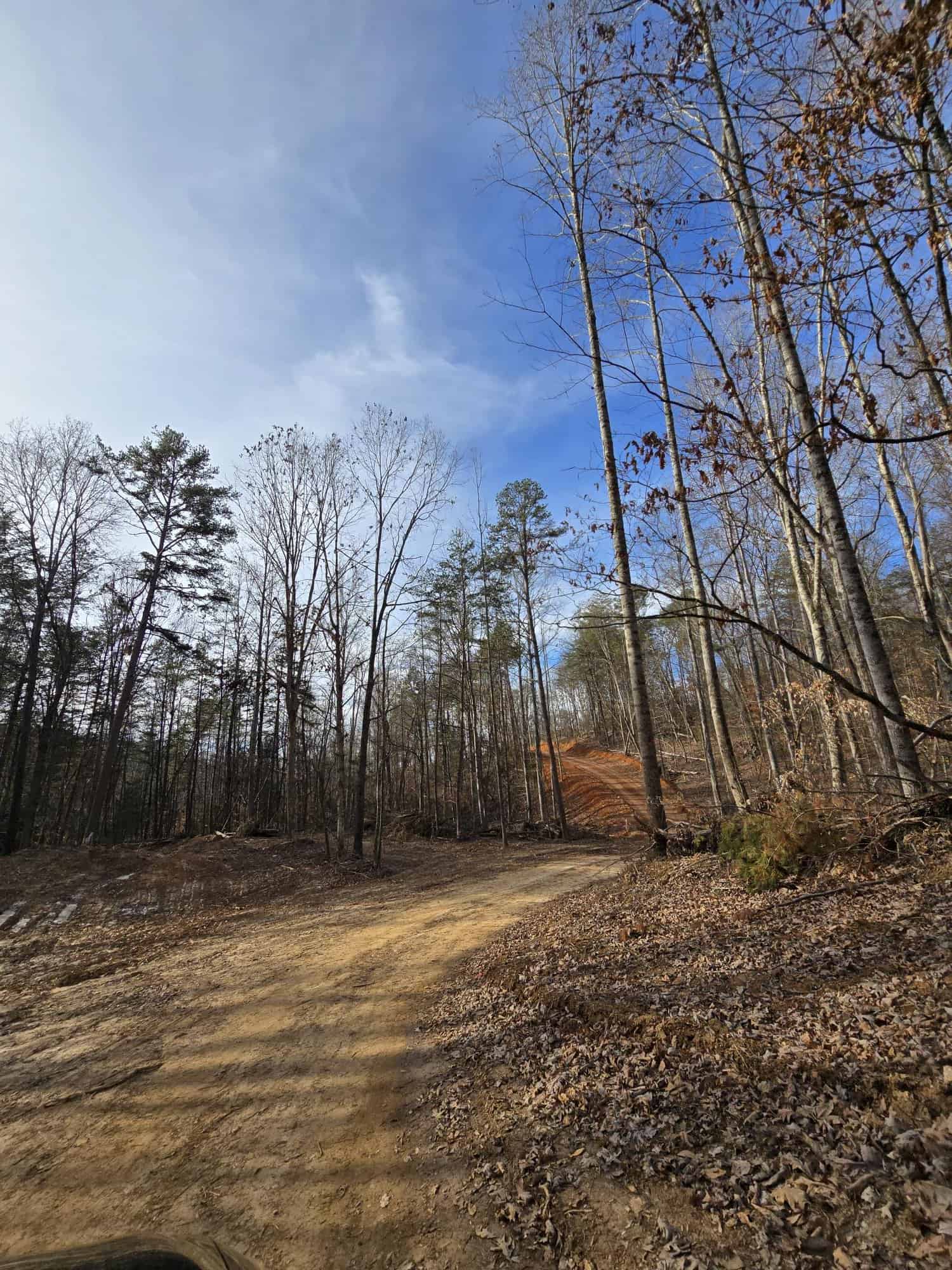 Dirt track curving through mixed hardwoods and pine with survey stakes along the left edge at Cottages at Timber Crest in Bean Station, Tennessee