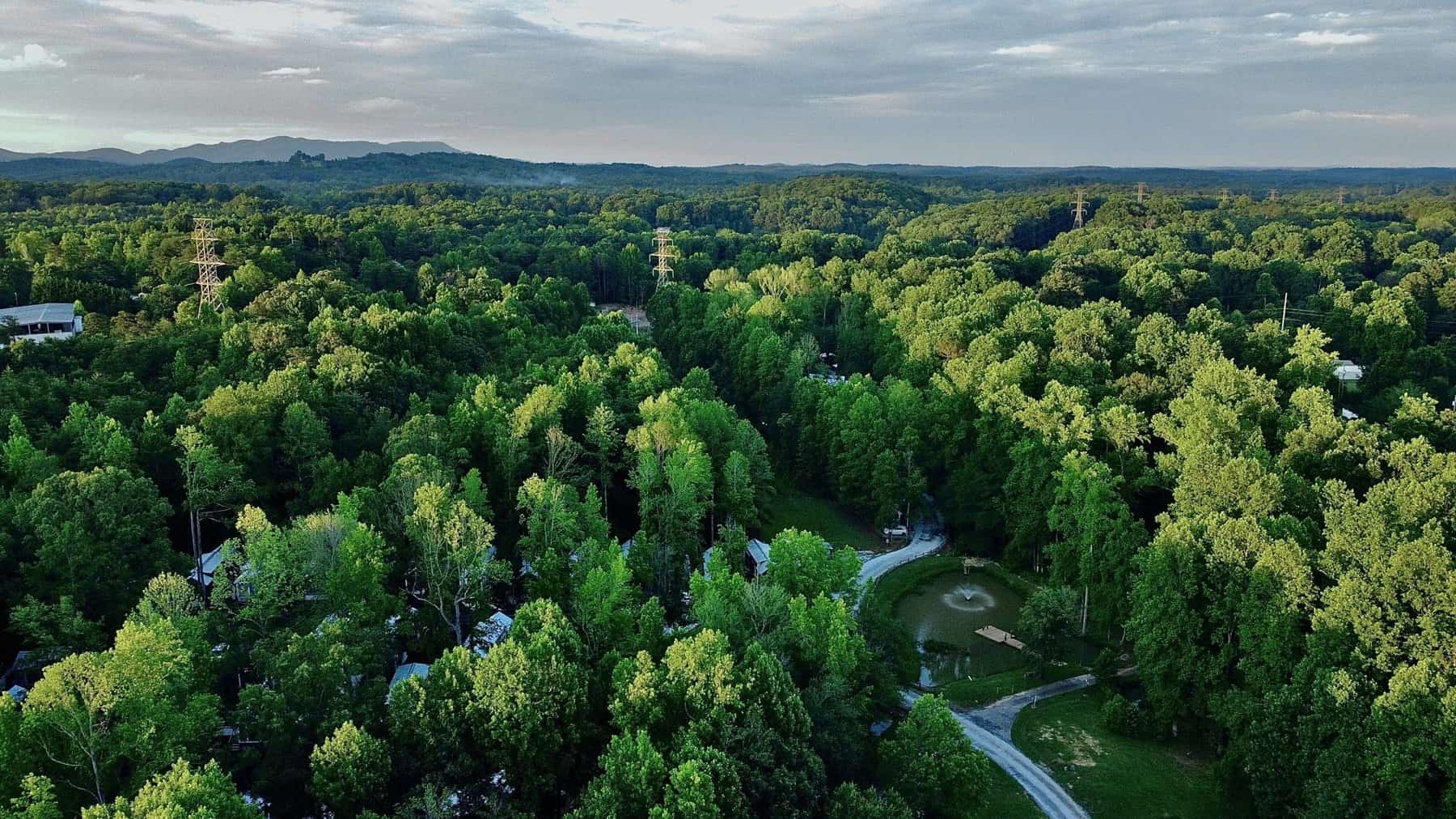 Aerial view of the wooded community with mountains on the horizon