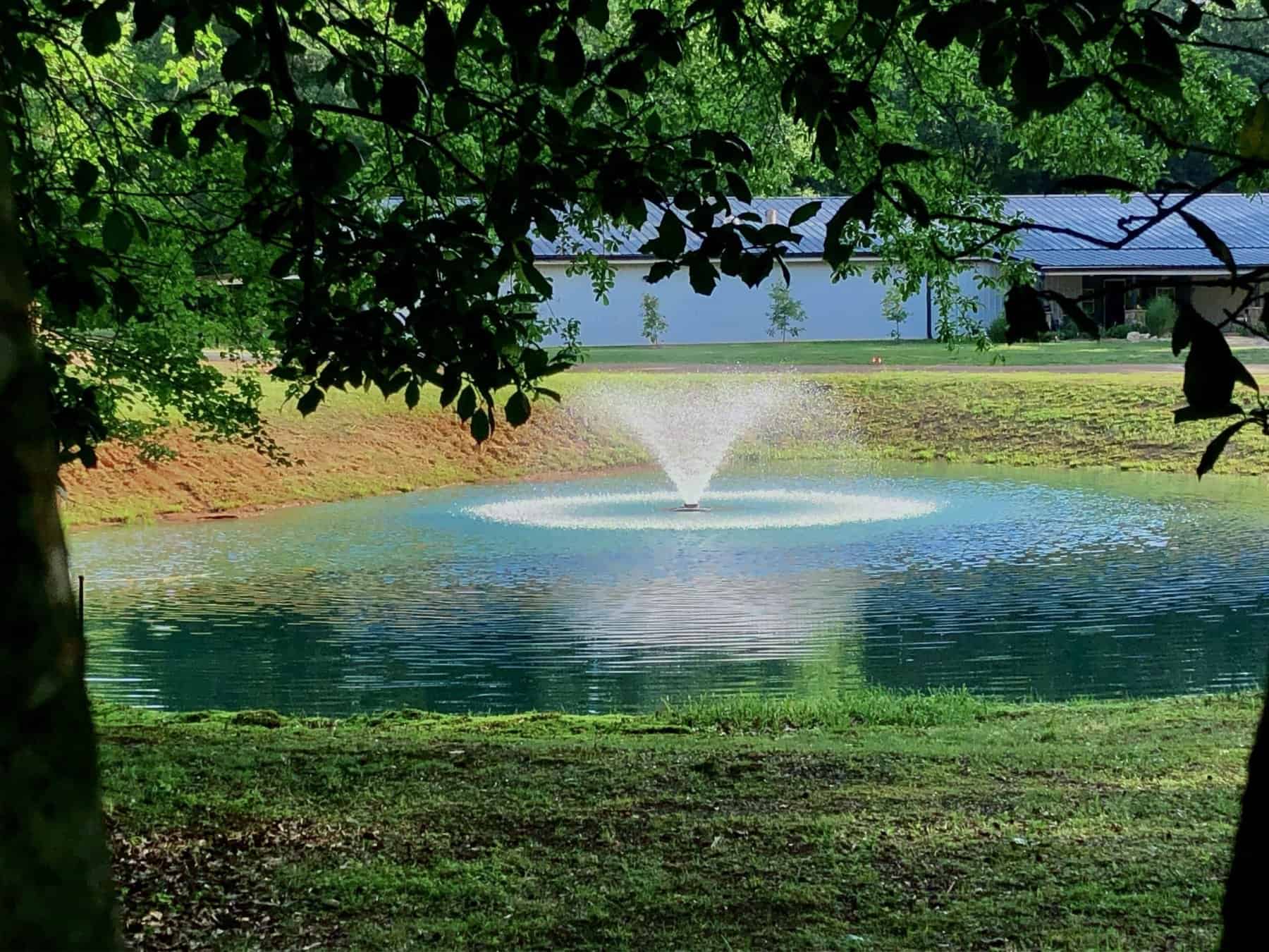 A pond fountain sprays in the middle of a green lawn framed by tree branches