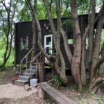 Treefort Cabin Glamping on 22 Acres 2