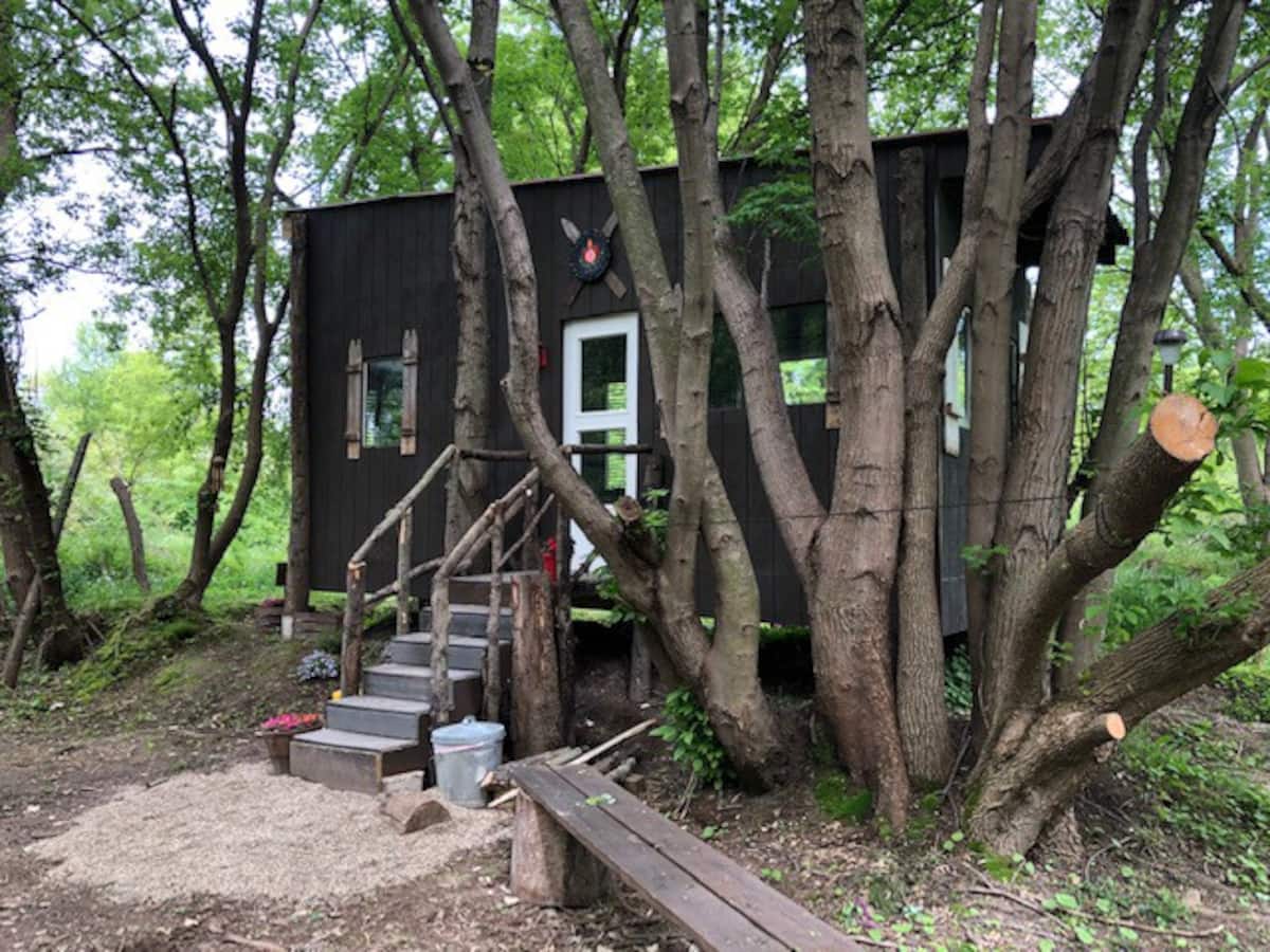 Treefort Cabin Glamping on 22 Acres 2