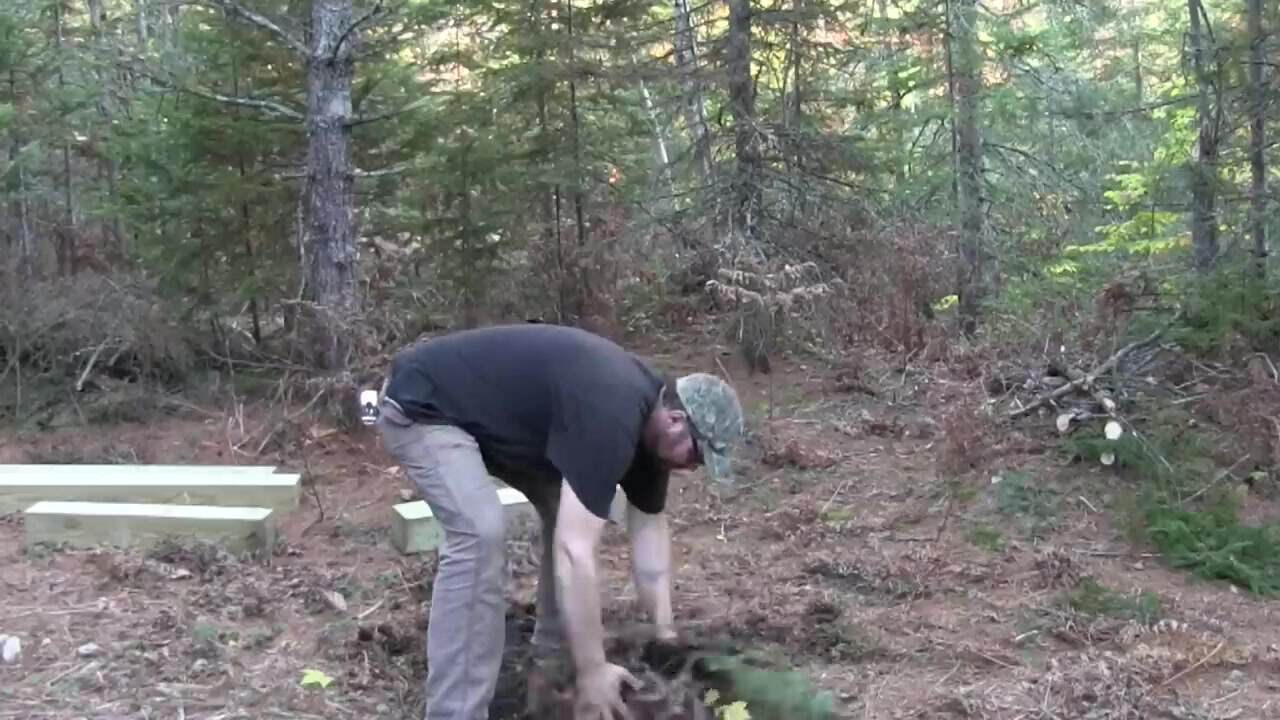 Dave Whipple clearing a cabin site among evergreens with treated foundation posts on the ground