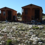 diy-tiny-house-005