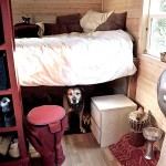 Pets and Dogs and Tiny Houses