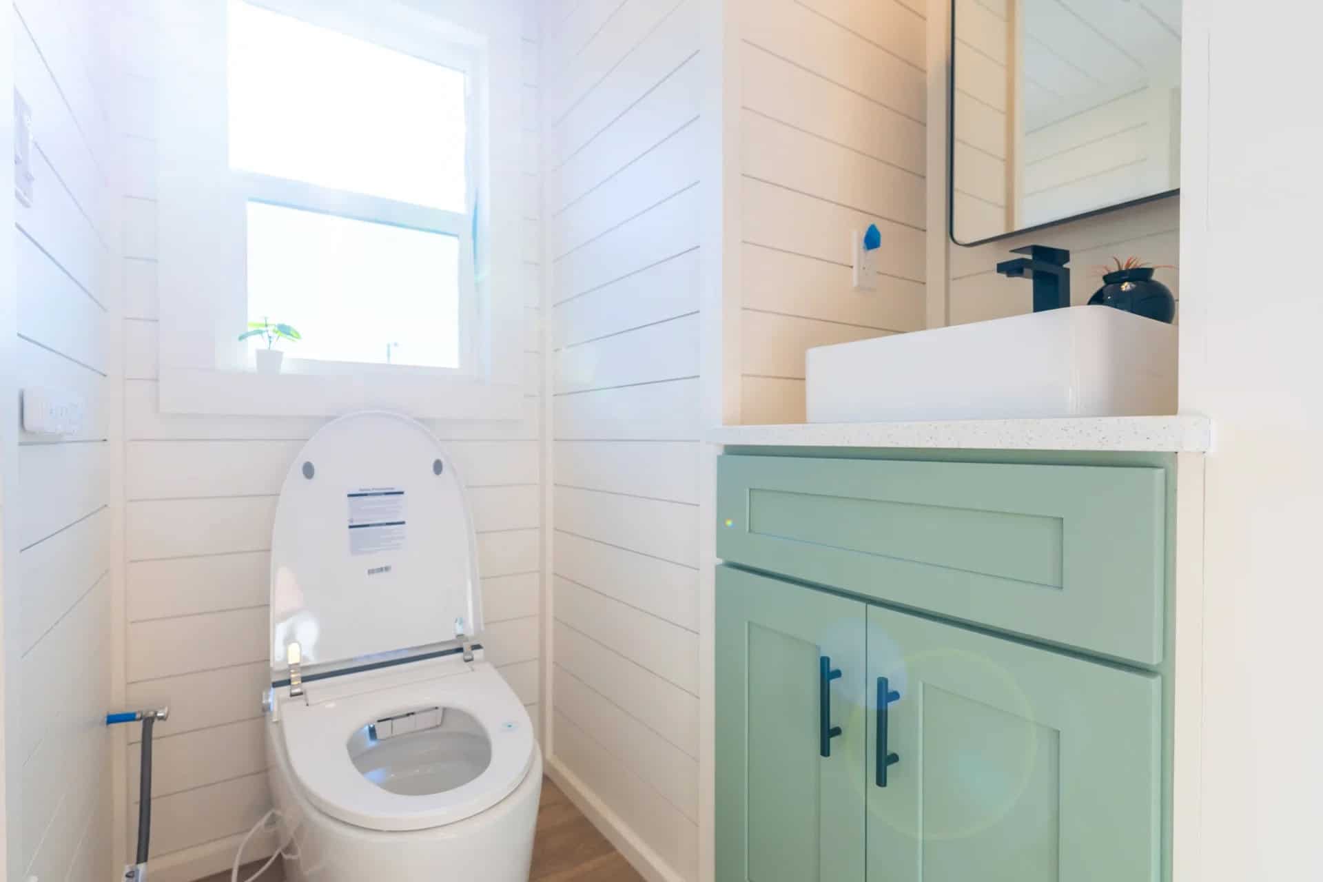Genesis gallery bathroom: white flush toilet under a window with a plant on the sill, mint vanity and vessel sink to the right