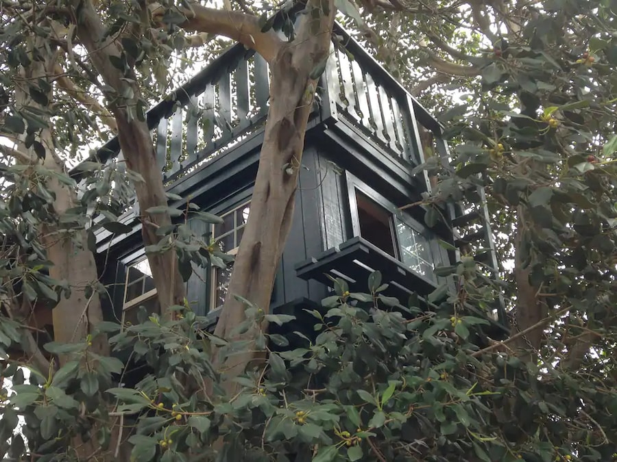 Treehouse Adventure with Twisty Slide in CA 14