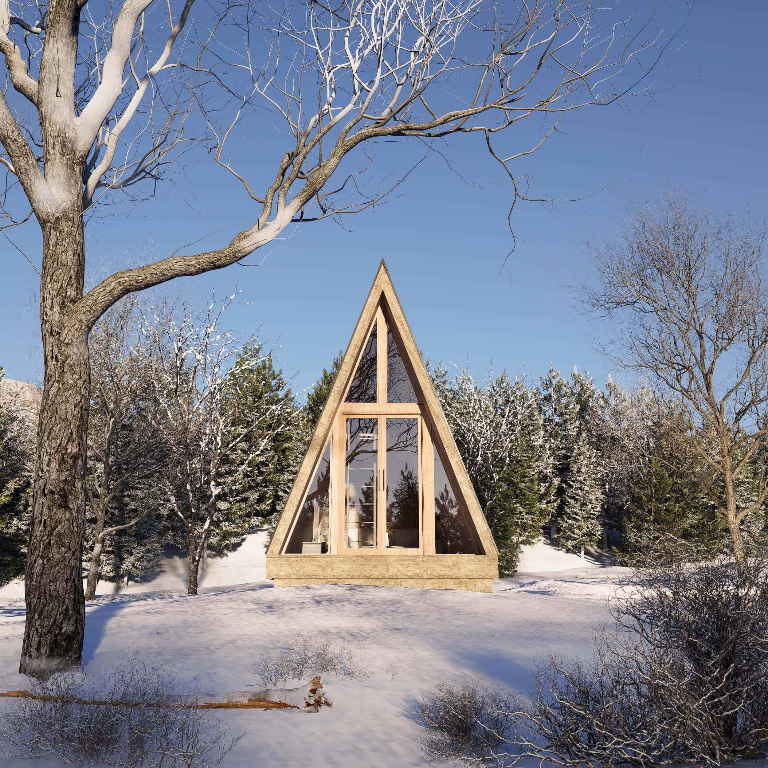 A-frame tiny house surrounded by snow and trees in winter.
