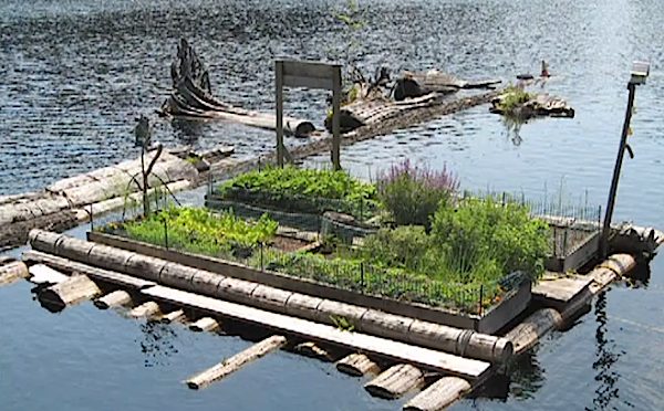 Floating Garden Beds to Grow Vegetables Off-Grid in Floating Home