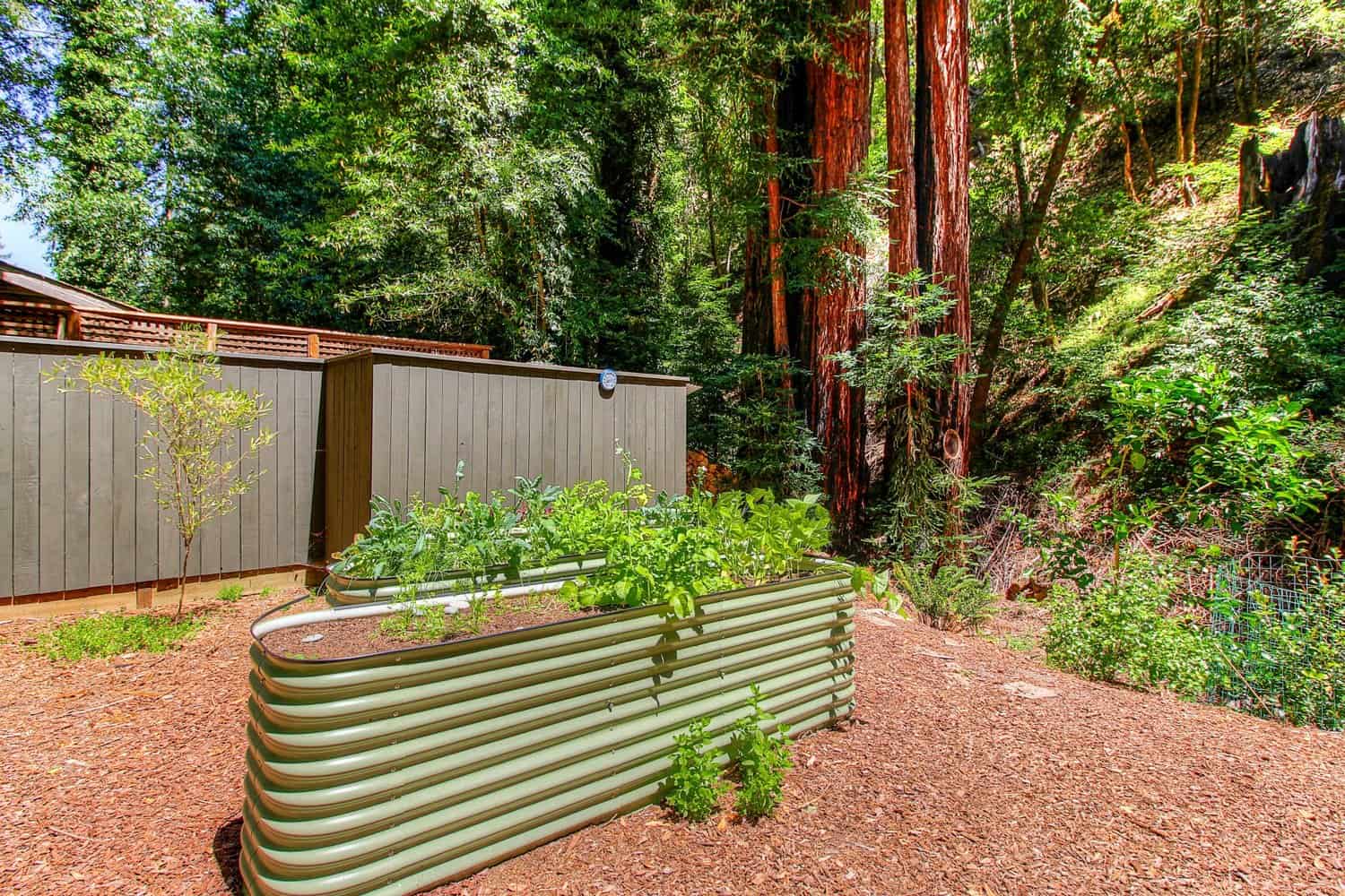 Raised metal garden beds on the forested property under redwood trees