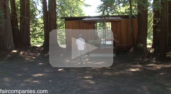 former-ceo-builds-tiny-cabin-treehouse-and-small-home