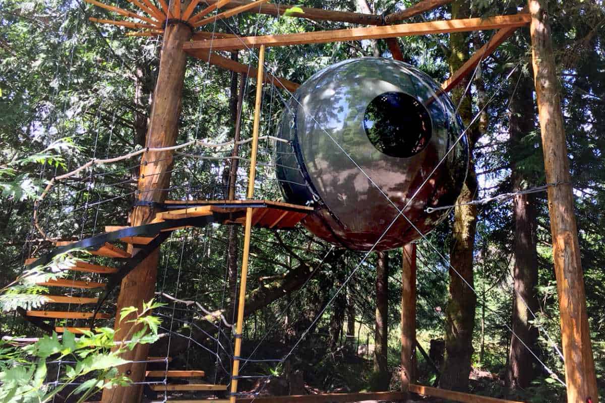 Dark glossy Luna sphere in the forest with a spiral wood stair wrapping a tree trunk and a wooden landing at the entry