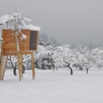 Free Standing Modern Tree House